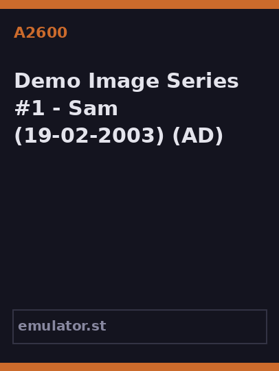 Demo Image Series #1 - Sam