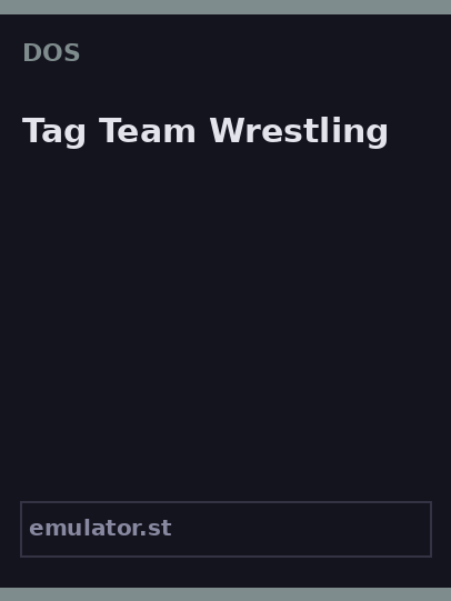 Tag Team Wrestling