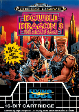 Double Dragon 3 - The Arcade Game