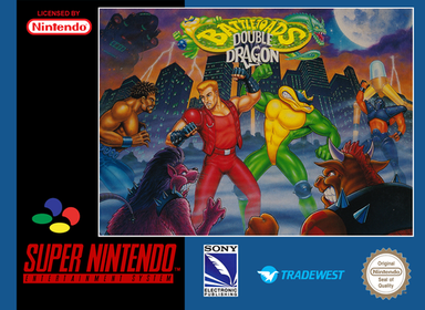 Battletoads And Double Dragon