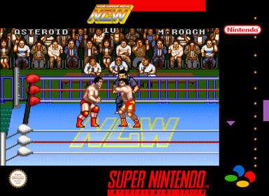 Natsume Championship Wrestling